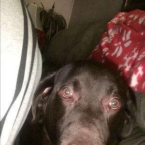 Meet your Posher, Paula